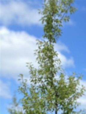 Tirsdag den 22. juni - Amina blev student, så ingen sejllads til os idag.